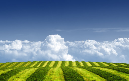 645982 (a): :1920x1200